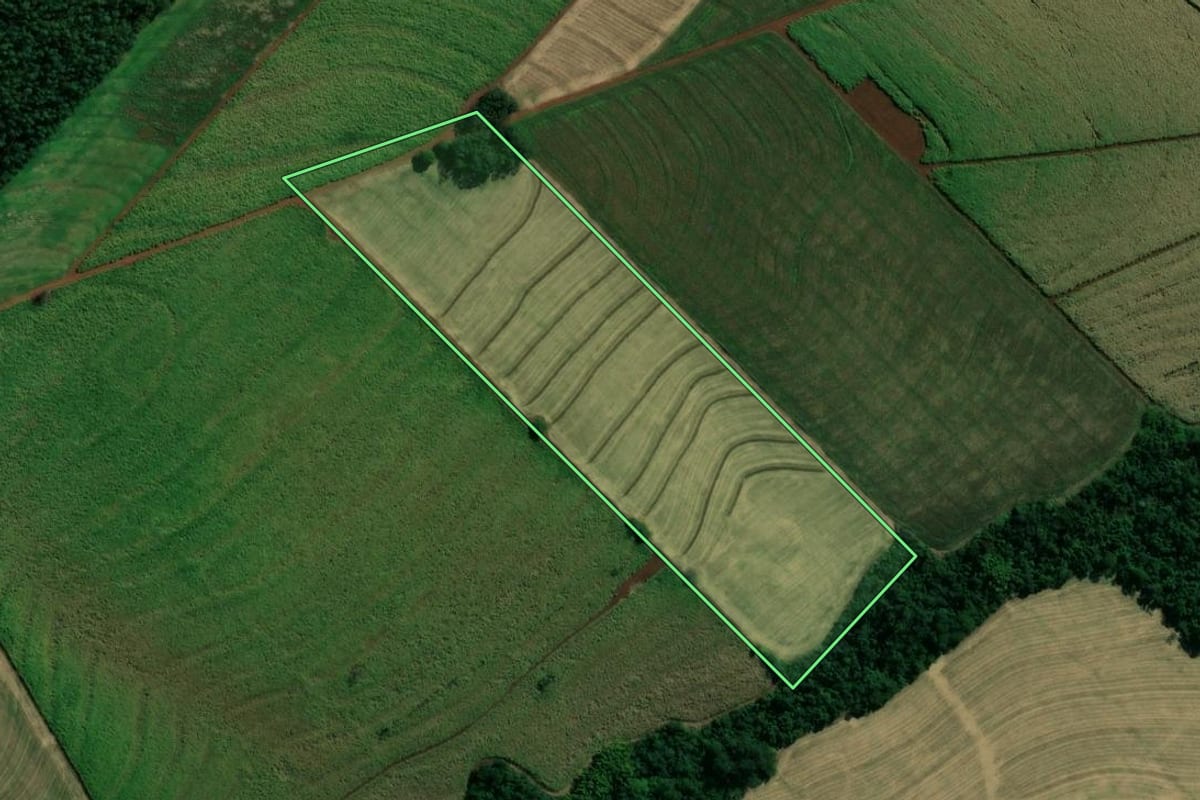 Imagem de satélite do imóvel rural em São Manoel do Paraná (PR), com o contorno declarado no CAR desenhado por cima.