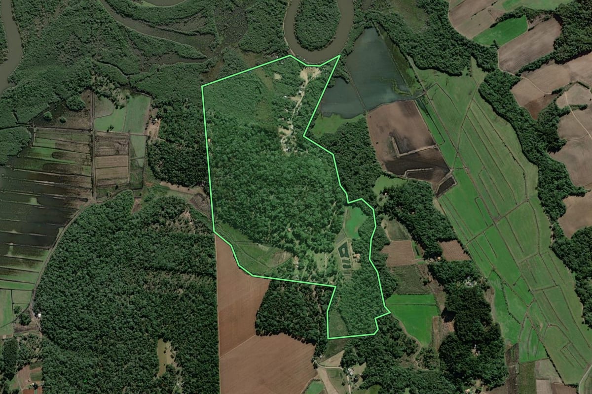 Imagem de satélite do imóvel rural em São Mateus do Sul (PR), com o contorno declarado no CAR desenhado por cima.