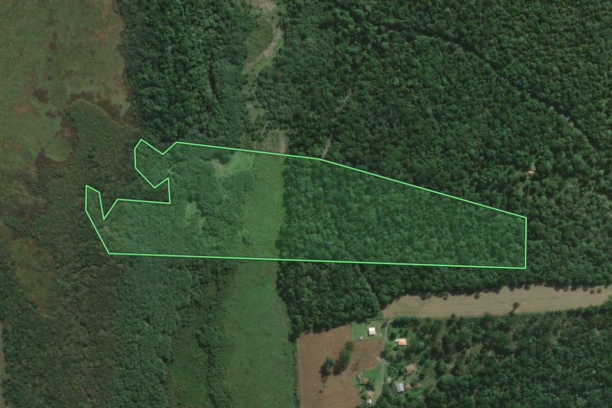 Imagem de satélite do imóvel rural em São Mateus do Sul (PR), com o contorno declarado no CAR desenhado por cima.