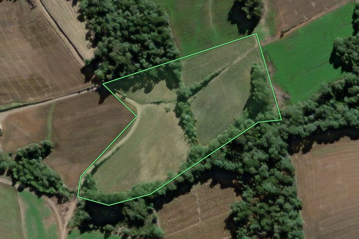 Imagem de satélite do imóvel rural em São Mateus do Sul (PR), com o contorno declarado no CAR desenhado por cima.