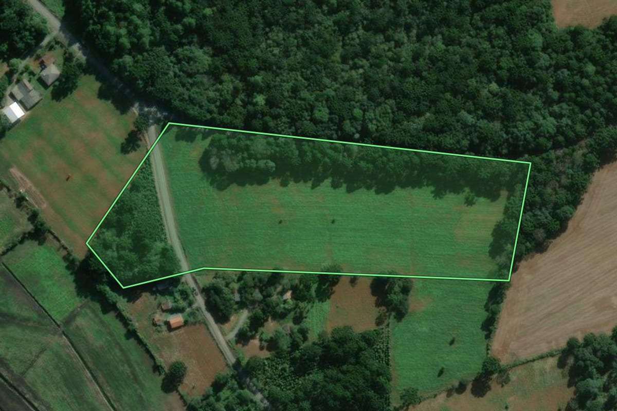 Imagem de satélite do imóvel rural em São Mateus do Sul (PR), com o contorno declarado no CAR desenhado por cima.