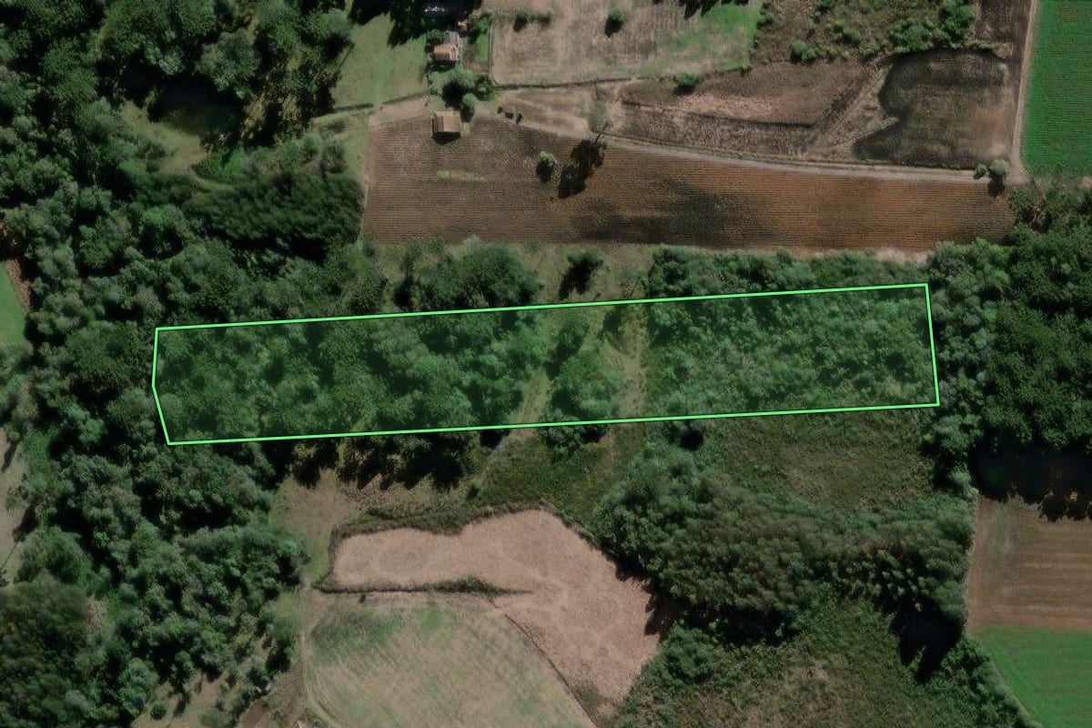 Imagem de satélite do imóvel rural em São Mateus do Sul (PR), com o contorno declarado no CAR desenhado por cima.