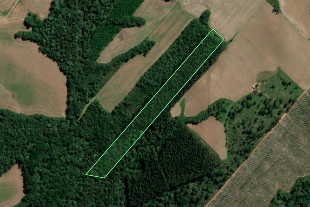 Imagem de satélite do imóvel rural em São Mateus do Sul (PR), com o contorno declarado no CAR desenhado por cima.