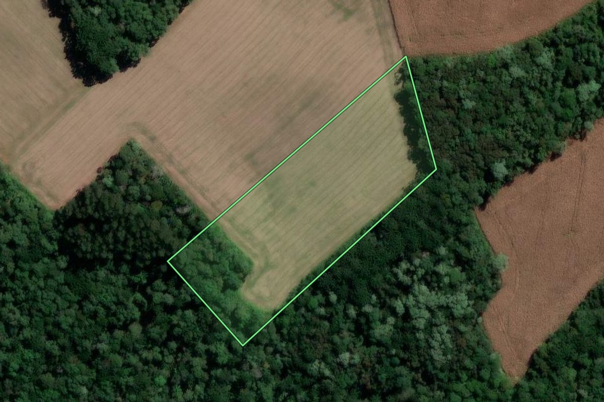 Imagem de satélite do imóvel rural em São Mateus do Sul (PR), com o contorno declarado no CAR desenhado por cima.