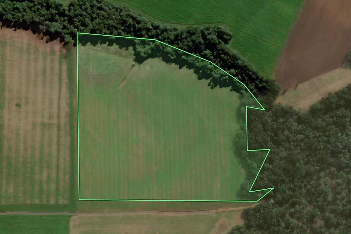 Imagem de satélite do imóvel rural em São Mateus do Sul (PR), com o contorno declarado no CAR desenhado por cima.