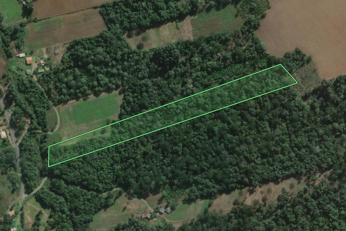 Imagem de satélite do imóvel rural em São Mateus do Sul (PR), com o contorno declarado no CAR desenhado por cima.