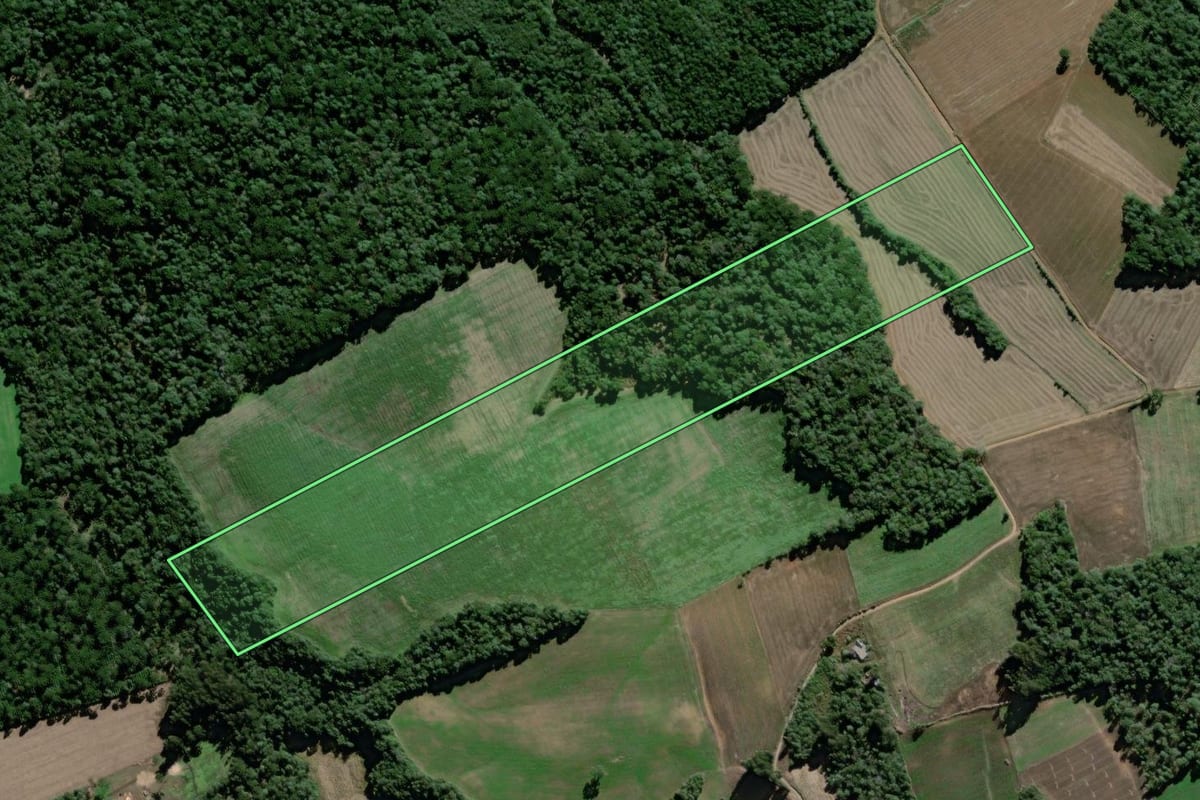 Imagem de satélite do imóvel rural em São Mateus do Sul (PR), com o contorno declarado no CAR desenhado por cima.
