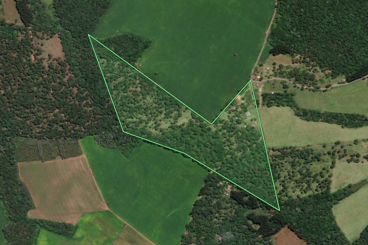 Imagem de satélite do imóvel rural em São Mateus do Sul (PR), com o contorno declarado no CAR desenhado por cima.