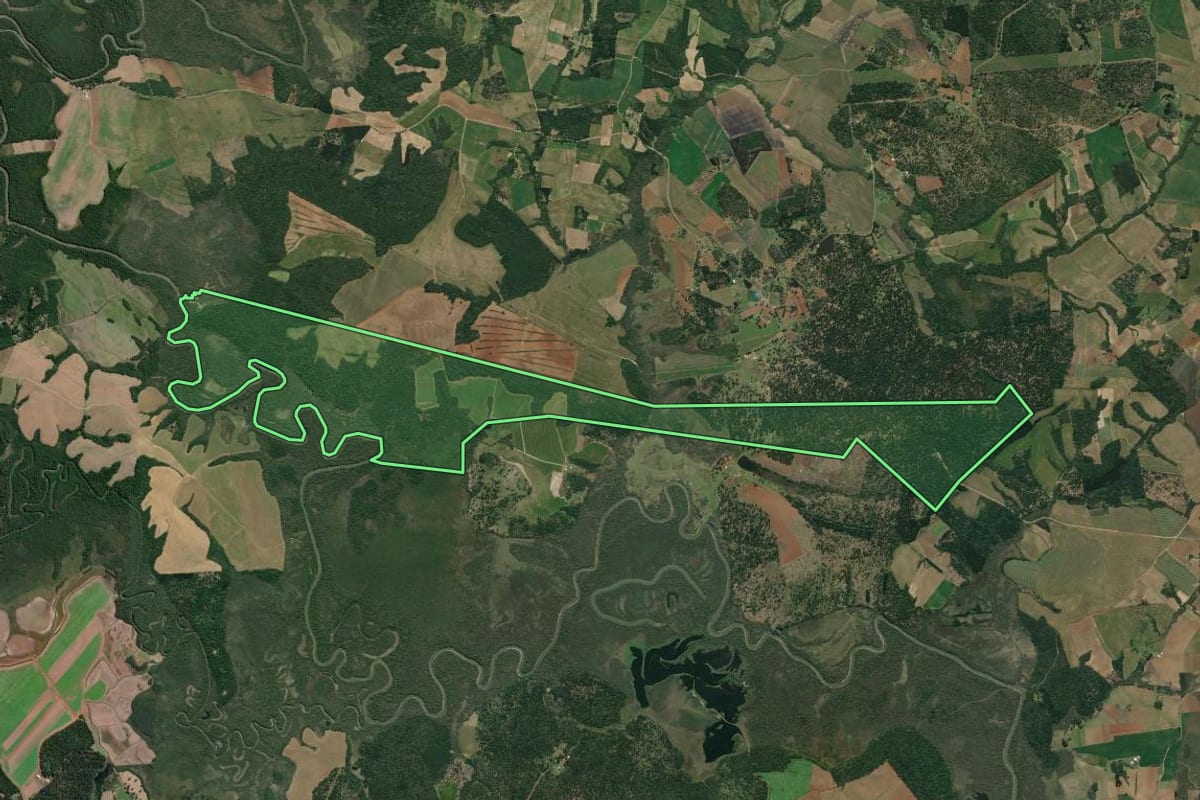 Imagem de satélite do imóvel rural em São Mateus do Sul (PR), com o contorno declarado no CAR desenhado por cima.