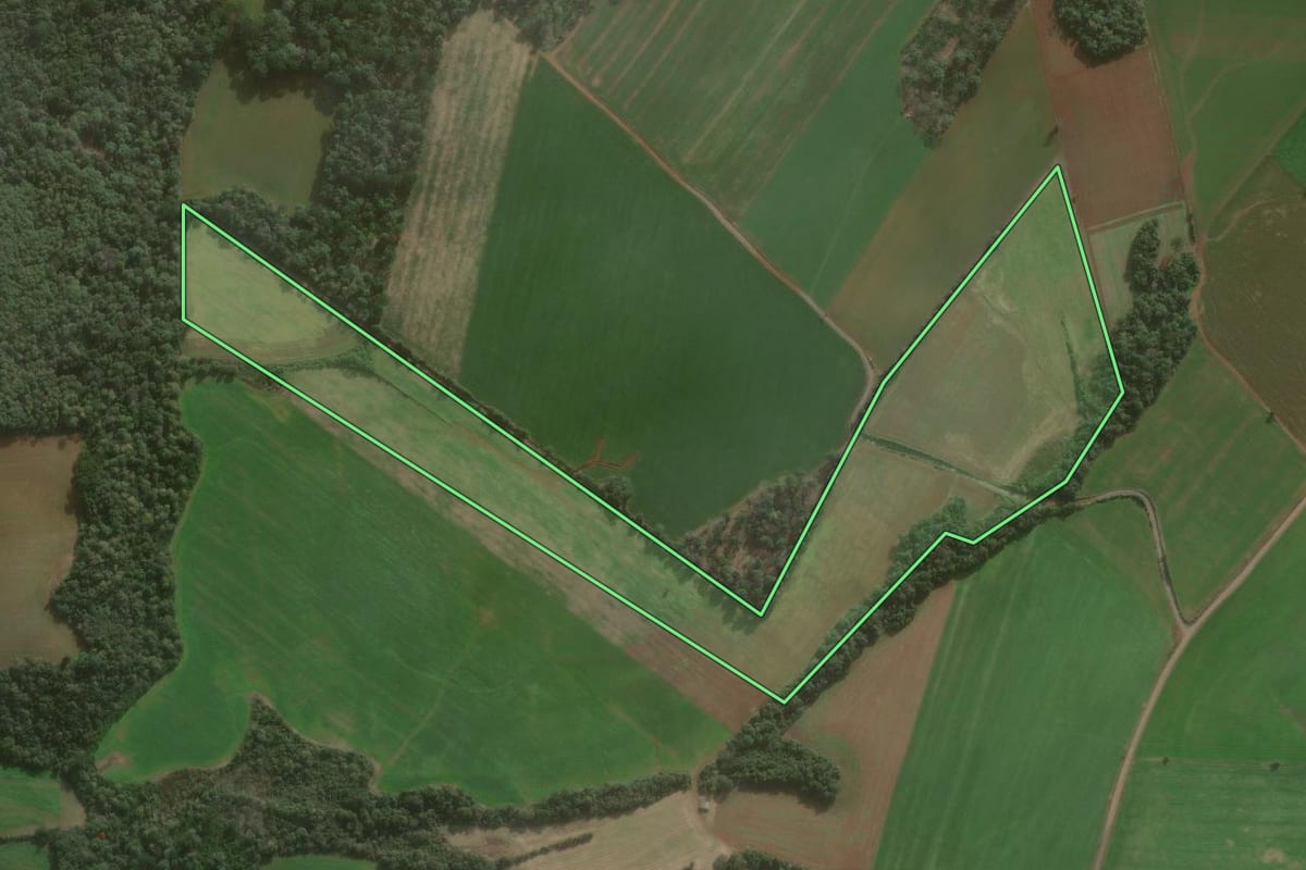 Imagem de satélite do imóvel rural em São Mateus do Sul (PR), com o contorno declarado no CAR desenhado por cima.