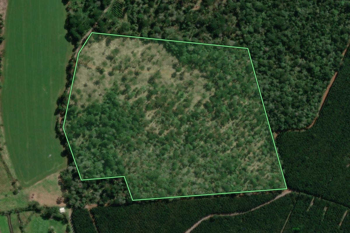 Imagem de satélite do imóvel rural em São Mateus do Sul (PR), com o contorno declarado no CAR desenhado por cima.