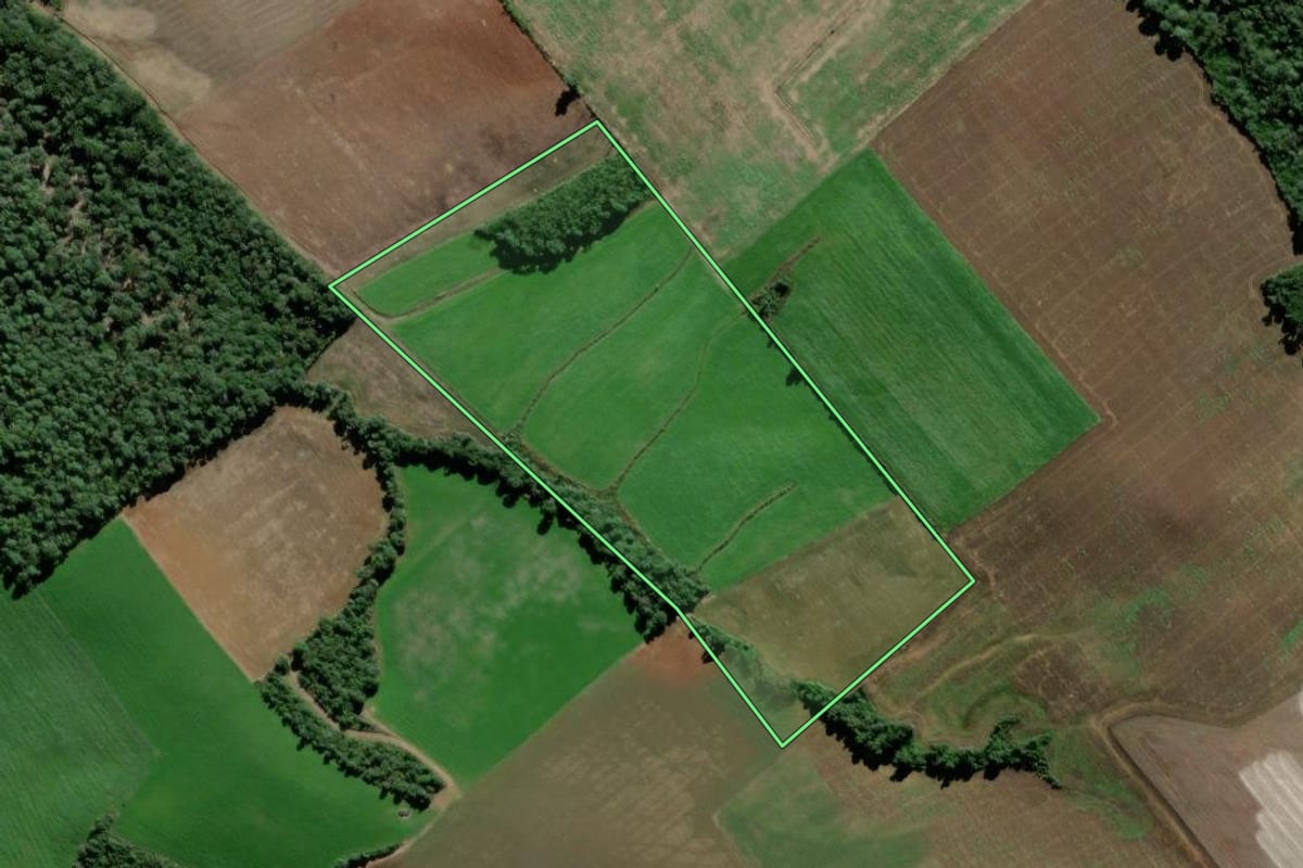 Imagem de satélite do imóvel rural em São Mateus do Sul (PR), com o contorno declarado no CAR desenhado por cima.