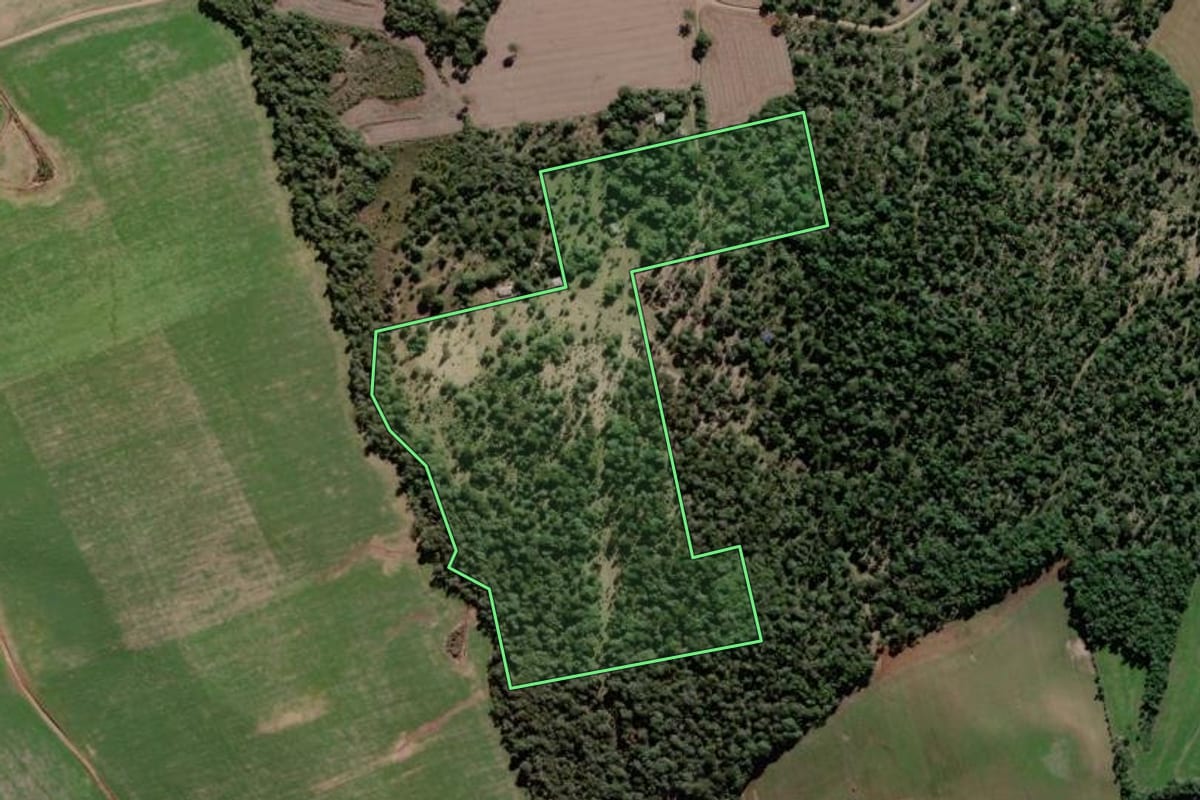 Imagem de satélite do imóvel rural em São Mateus do Sul (PR), com o contorno declarado no CAR desenhado por cima.