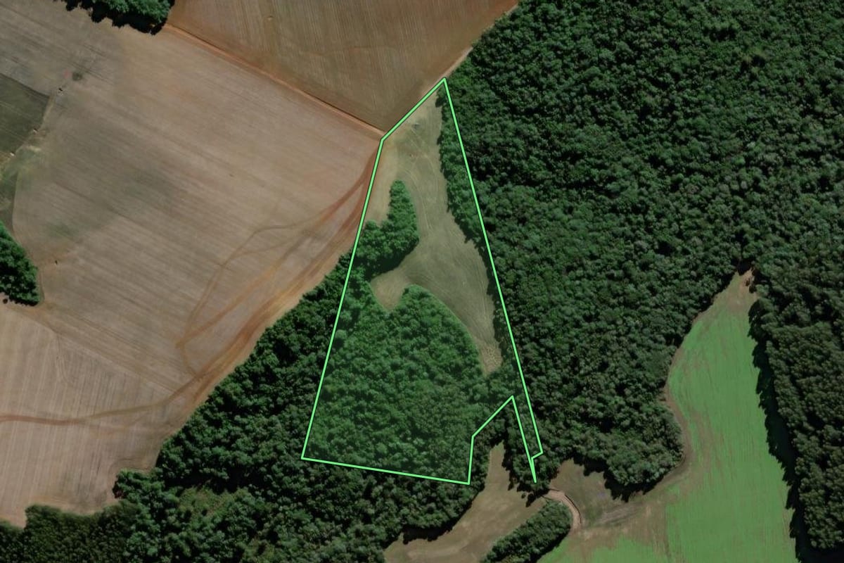 Imagem de satélite do imóvel rural em São Mateus do Sul (PR), com o contorno declarado no CAR desenhado por cima.