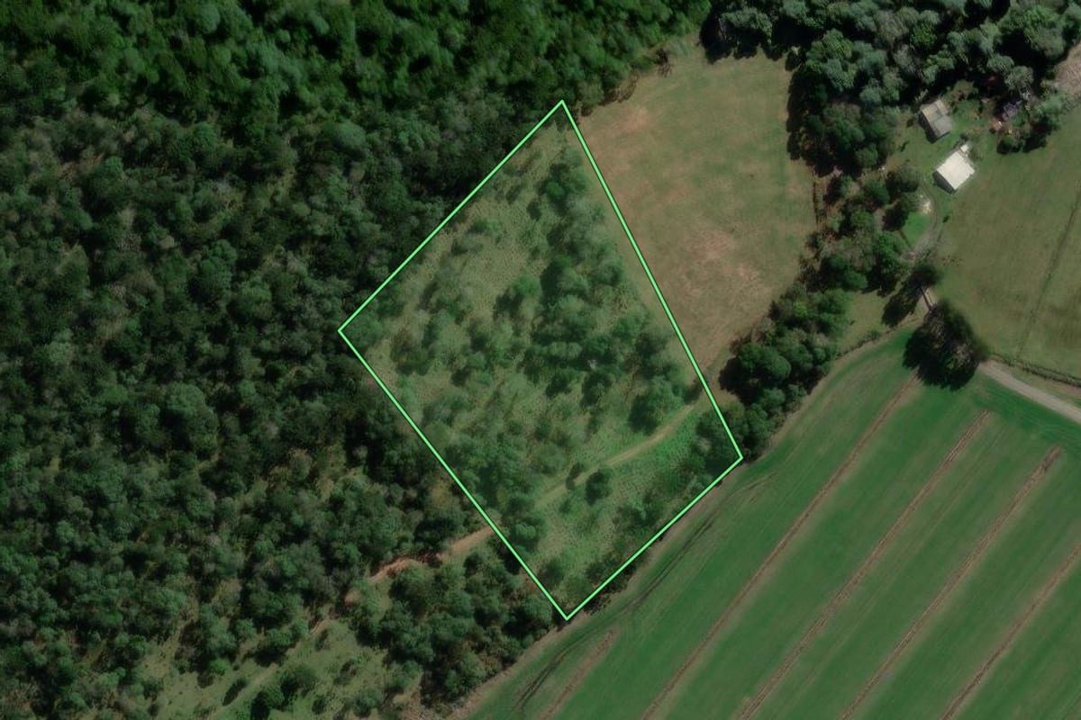 Imagem de satélite do imóvel rural em São Mateus do Sul (PR), com o contorno declarado no CAR desenhado por cima.