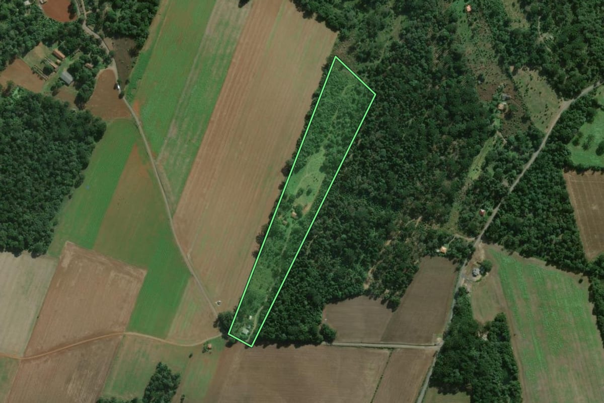 Imagem de satélite do imóvel rural em São Mateus do Sul (PR), com o contorno declarado no CAR desenhado por cima.