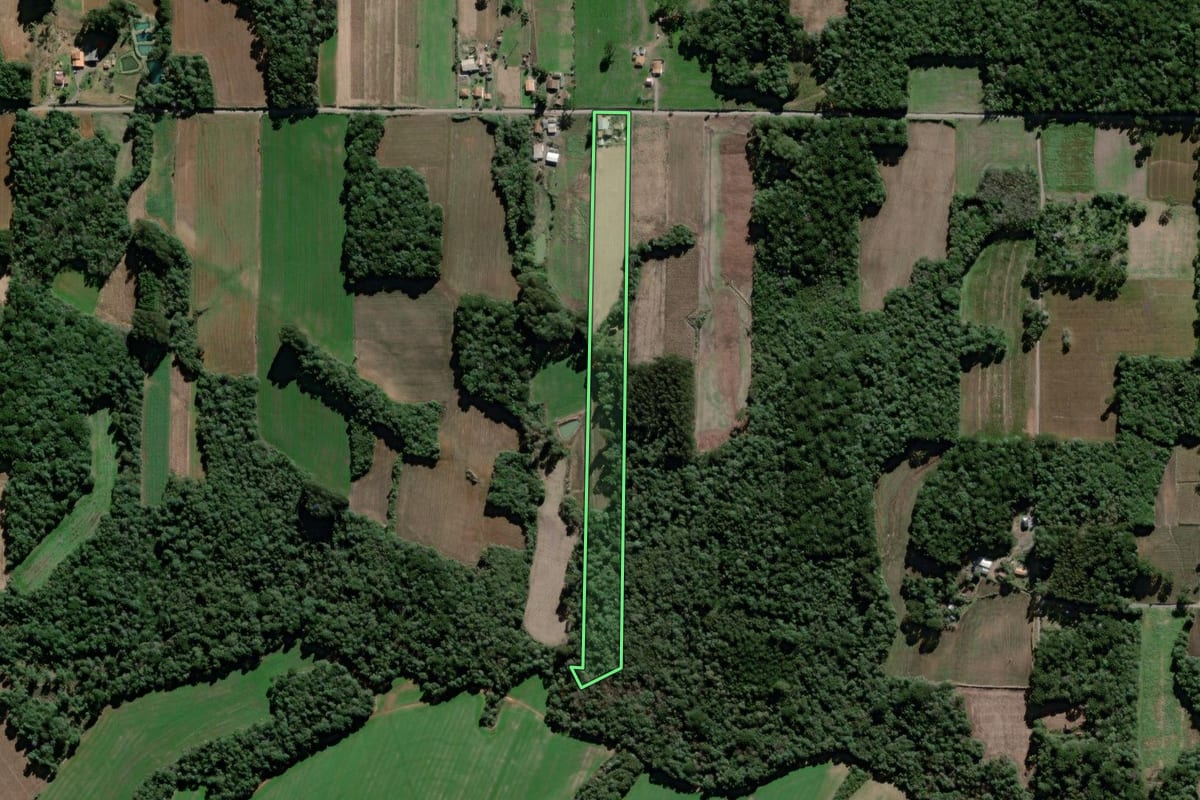 Imagem de satélite do imóvel rural em São Mateus do Sul (PR), com o contorno declarado no CAR desenhado por cima.