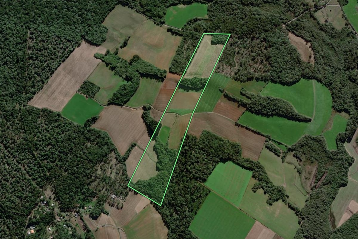 Imagem de satélite do imóvel rural em São Mateus do Sul (PR), com o contorno declarado no CAR desenhado por cima.