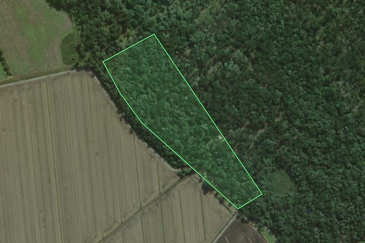 Imagem de satélite do imóvel rural em São Mateus do Sul (PR), com o contorno declarado no CAR desenhado por cima.