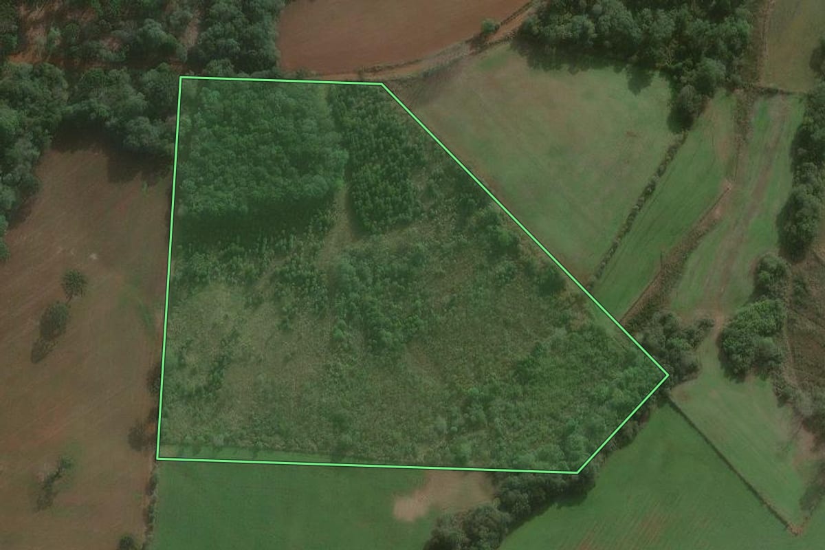Imagem de satélite do imóvel rural em São Mateus do Sul (PR), com o contorno declarado no CAR desenhado por cima.