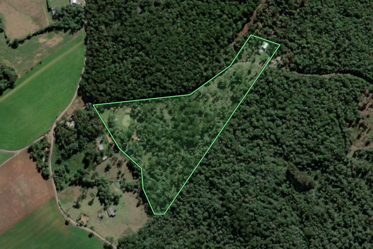 Imagem de satélite do imóvel rural em São Mateus do Sul (PR), com o contorno declarado no CAR desenhado por cima.