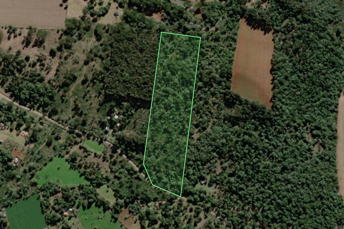 Imagem de satélite do imóvel rural em São Mateus do Sul (PR), com o contorno declarado no CAR desenhado por cima.