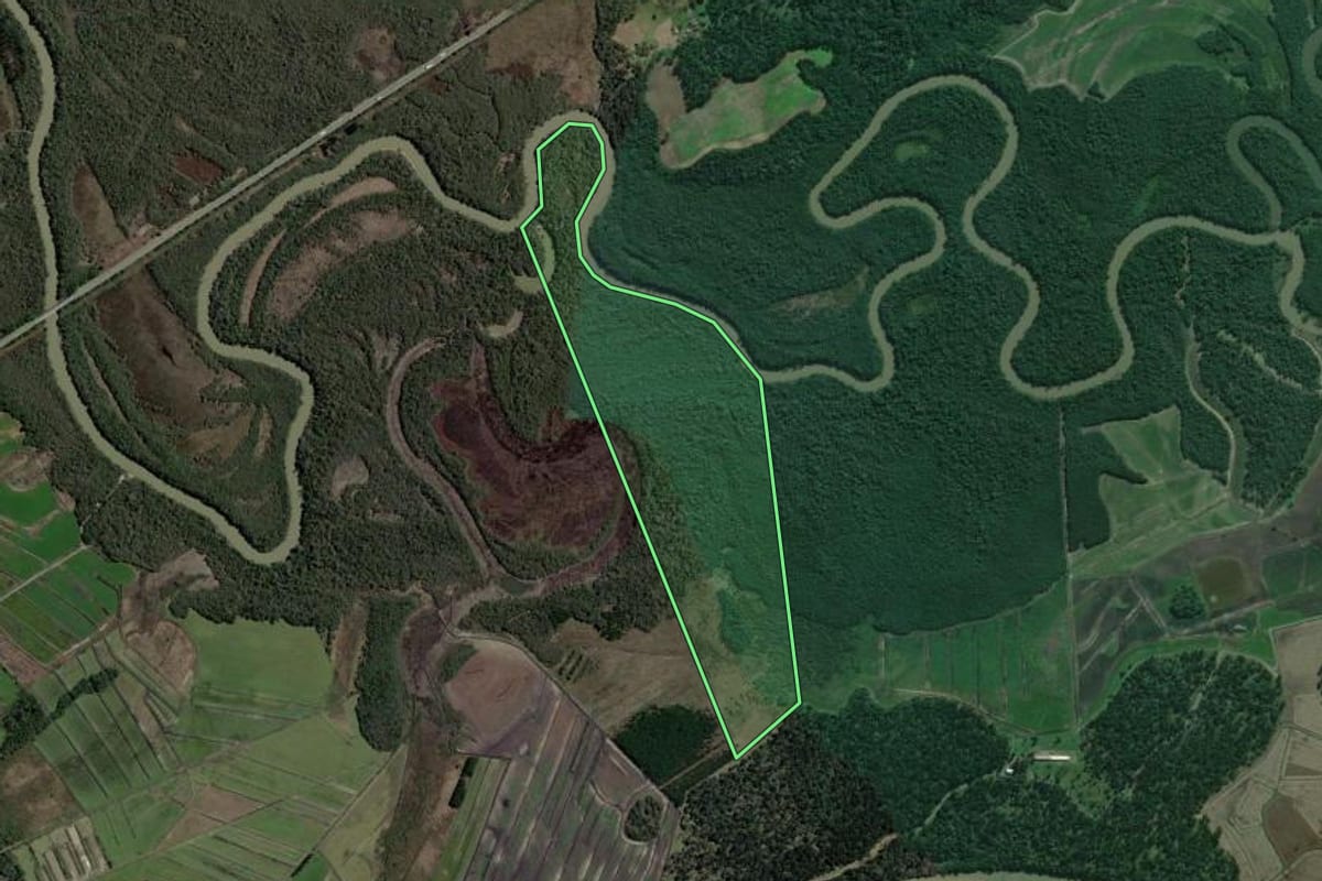 Imagem de satélite do imóvel rural em São Mateus do Sul (PR), com o contorno declarado no CAR desenhado por cima.