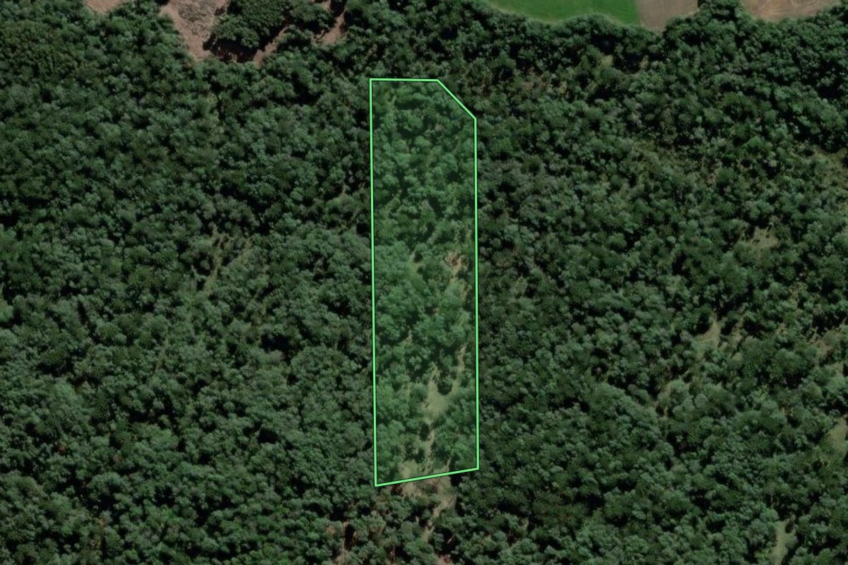 Imagem de satélite do imóvel rural em São Mateus do Sul (PR), com o contorno declarado no CAR desenhado por cima.