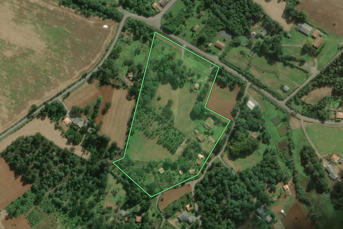 Imagem de satélite do imóvel rural em São Mateus do Sul (PR), com o contorno declarado no CAR desenhado por cima.