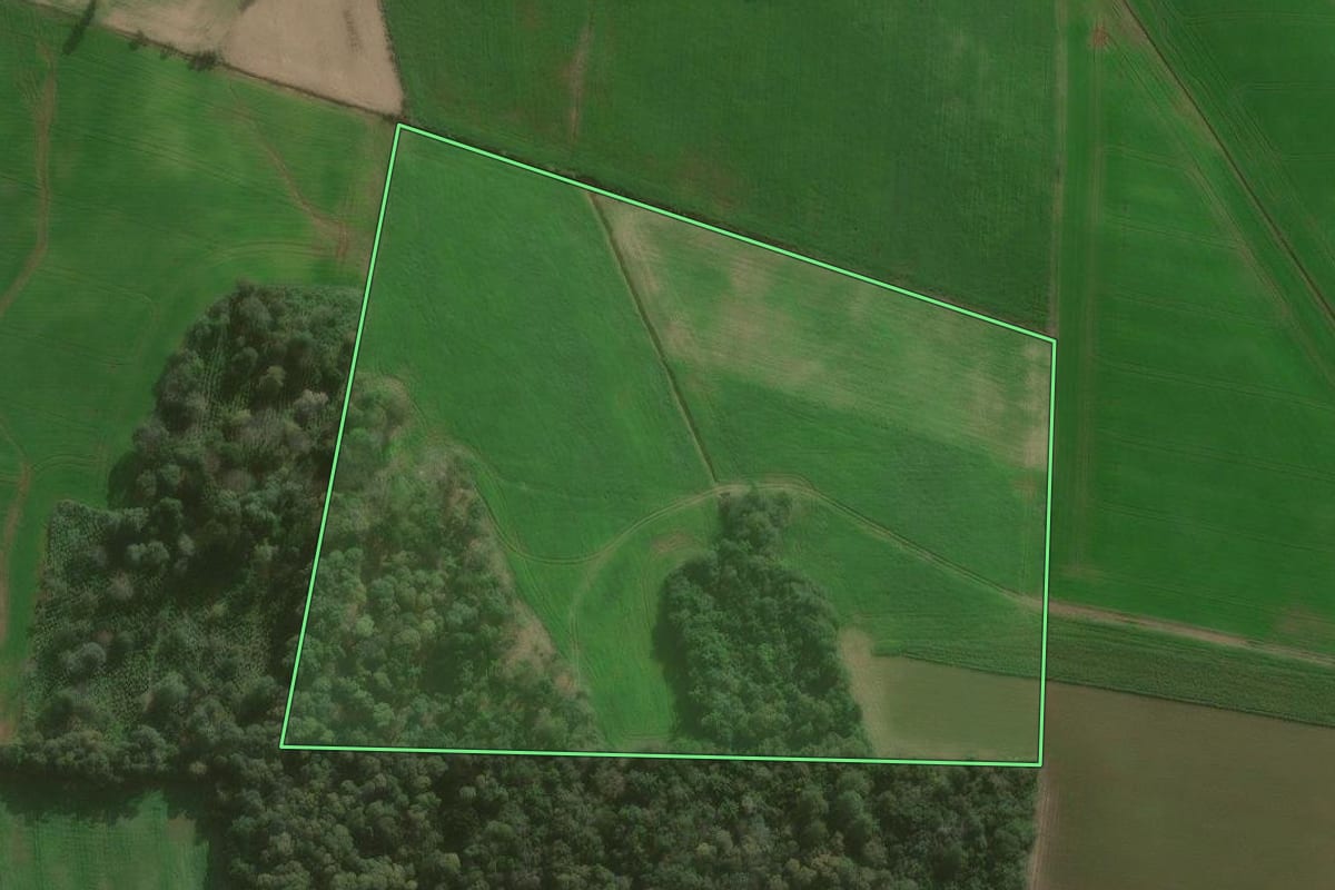 Imagem de satélite do imóvel rural em São Mateus do Sul (PR), com o contorno declarado no CAR desenhado por cima.
