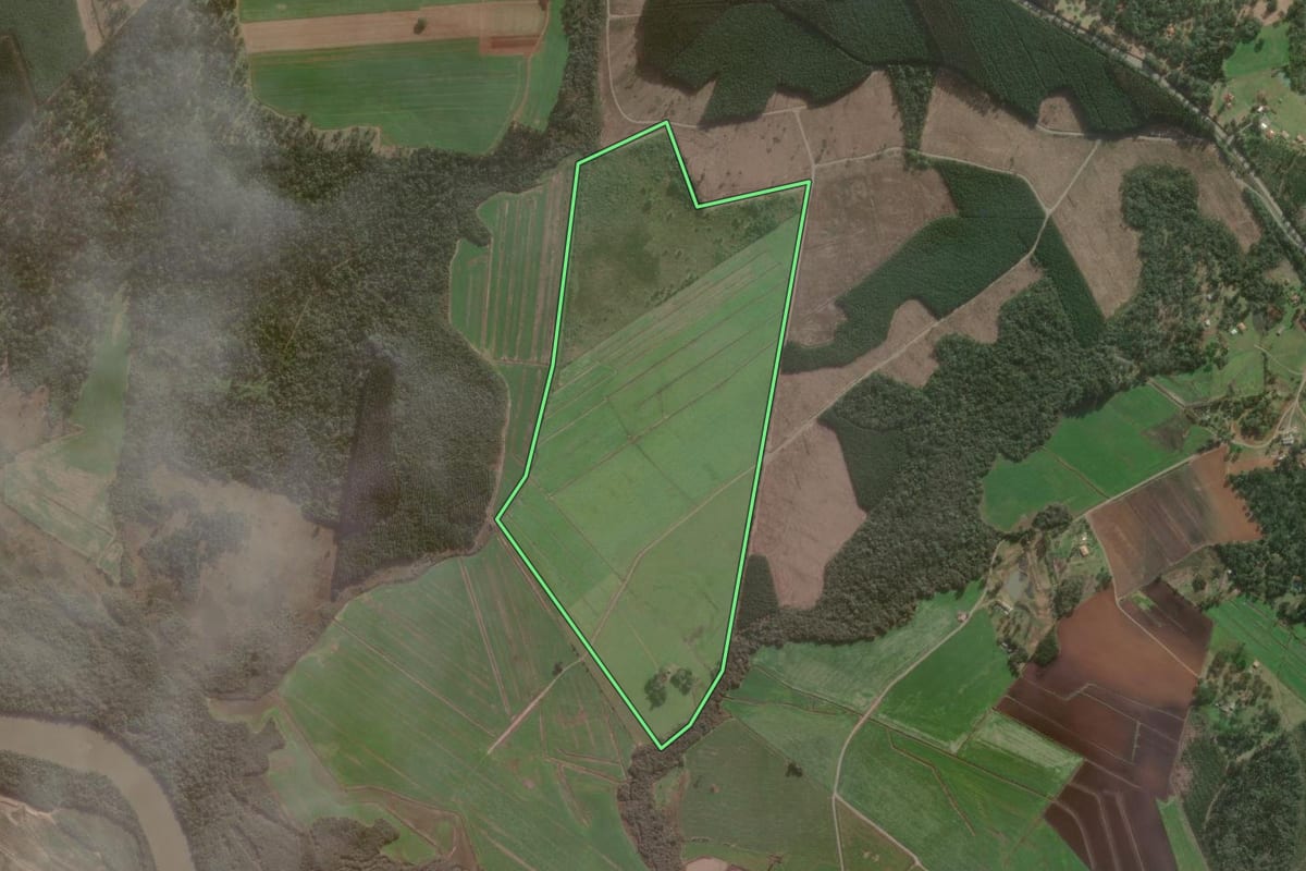 Imagem de satélite do imóvel rural em São Mateus do Sul (PR), com o contorno declarado no CAR desenhado por cima.