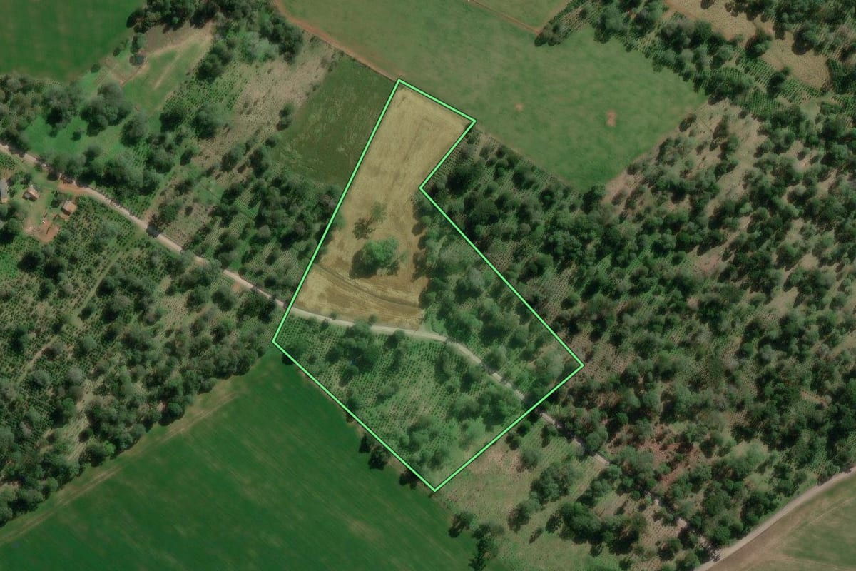 Imagem de satélite do imóvel rural em São Mateus do Sul (PR), com o contorno declarado no CAR desenhado por cima.