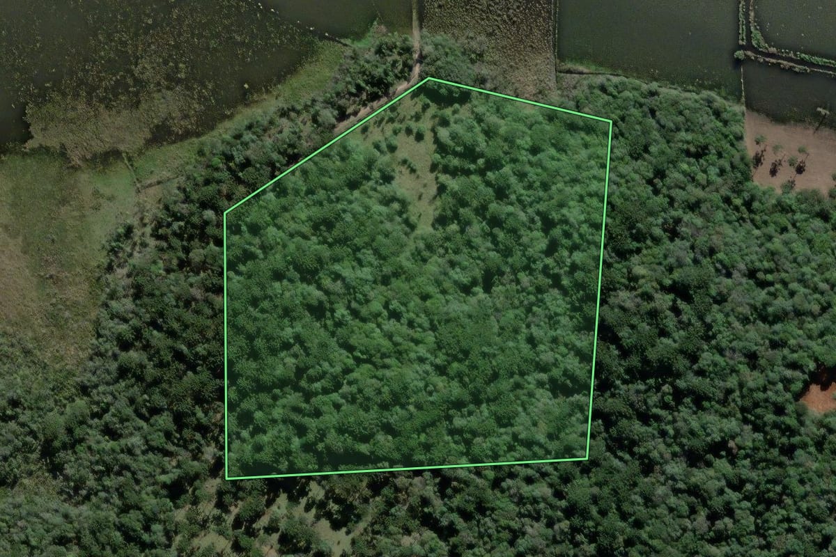 Imagem de satélite do imóvel rural em São Mateus do Sul (PR), com o contorno declarado no CAR desenhado por cima.