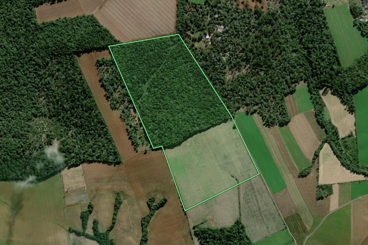 Imagem de satélite do imóvel rural em São Mateus do Sul (PR), com o contorno declarado no CAR desenhado por cima.