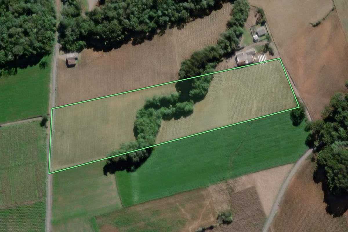 Imagem de satélite do imóvel rural em São Mateus do Sul (PR), com o contorno declarado no CAR desenhado por cima.