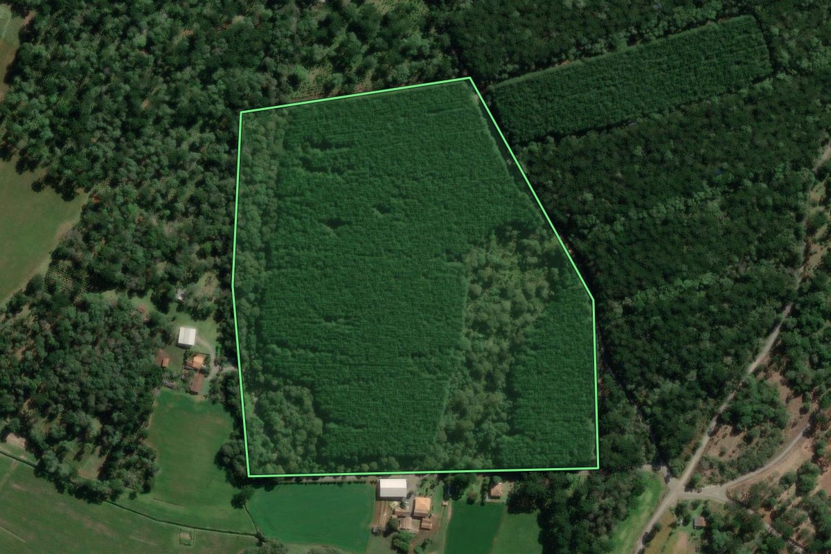 Imagem de satélite do imóvel rural em São Mateus do Sul (PR), com o contorno declarado no CAR desenhado por cima.