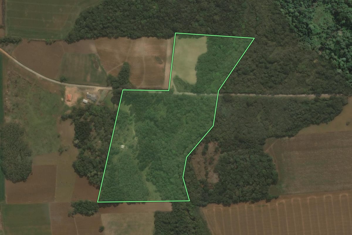 Imagem de satélite do imóvel rural em São Mateus do Sul (PR), com o contorno declarado no CAR desenhado por cima.