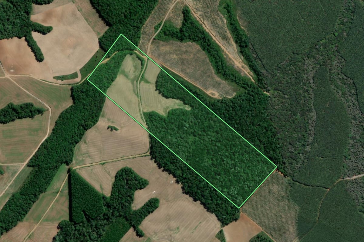 Imagem de satélite do imóvel rural em São Mateus do Sul (PR), com o contorno declarado no CAR desenhado por cima.