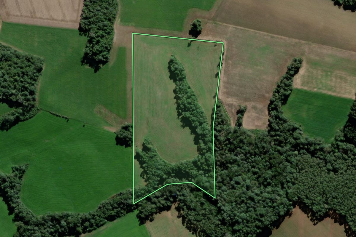 Imagem de satélite do imóvel rural em São Mateus do Sul (PR), com o contorno declarado no CAR desenhado por cima.