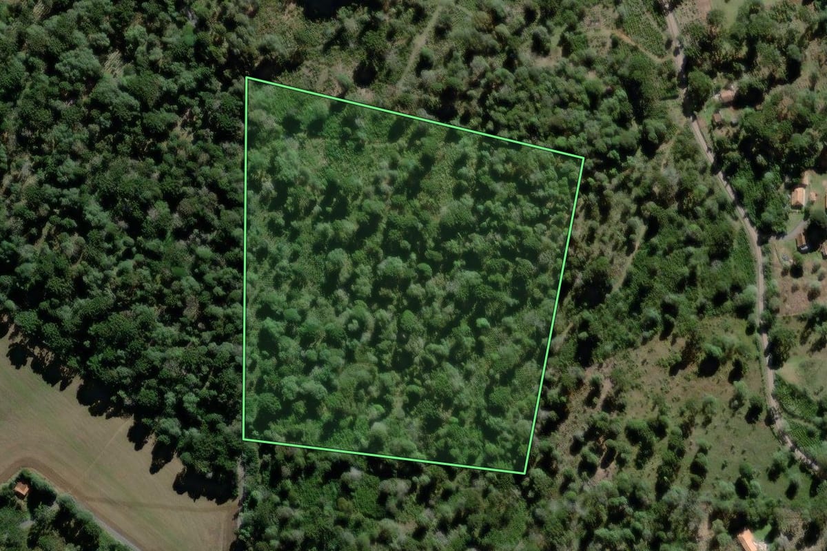 Imagem de satélite do imóvel rural em São Mateus do Sul (PR), com o contorno declarado no CAR desenhado por cima.