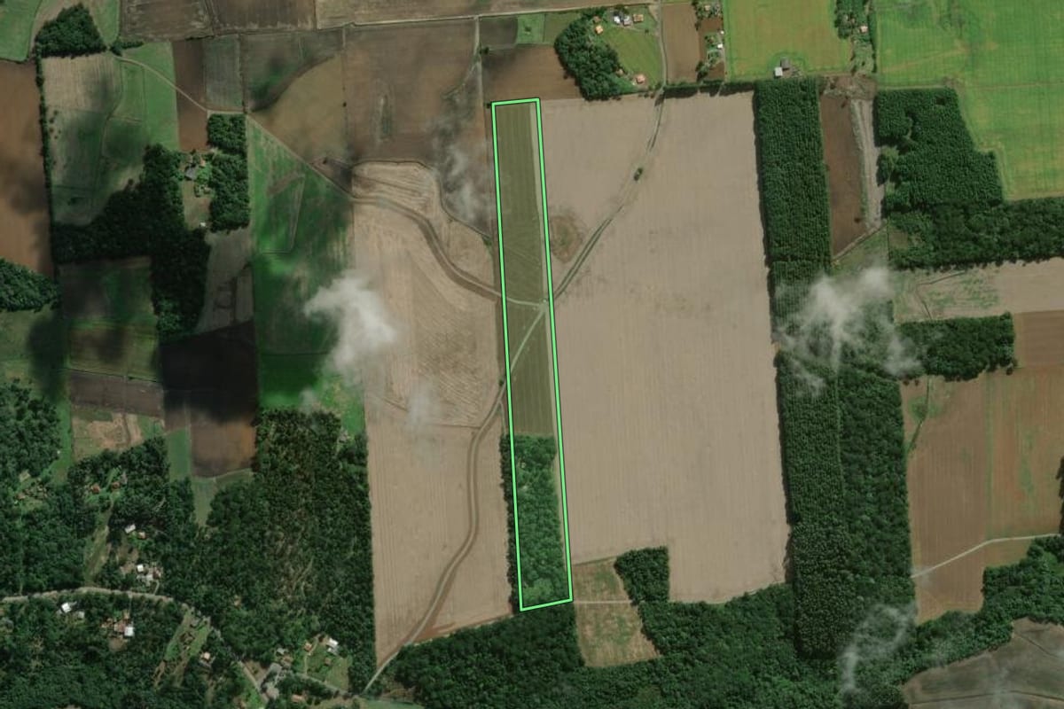 Imagem de satélite do imóvel rural em São Mateus do Sul (PR), com o contorno declarado no CAR desenhado por cima.