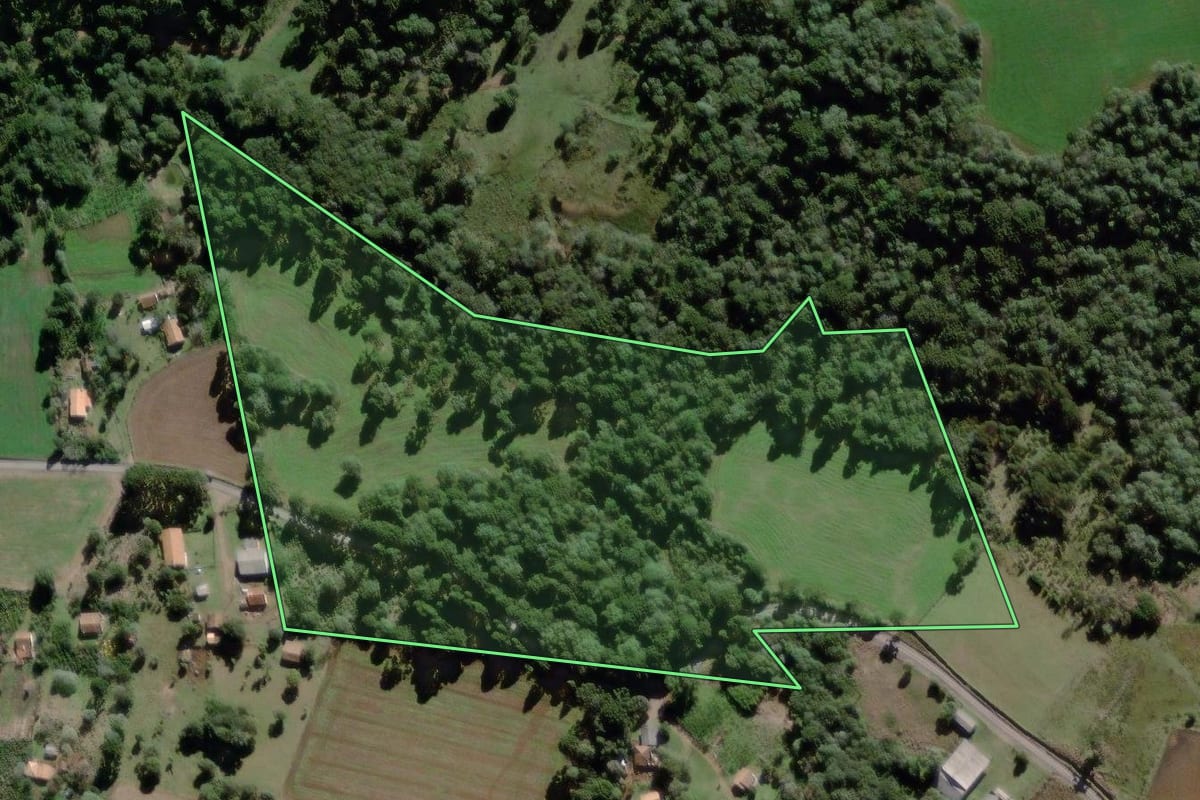 Imagem de satélite do imóvel rural em São Mateus do Sul (PR), com o contorno declarado no CAR desenhado por cima.
