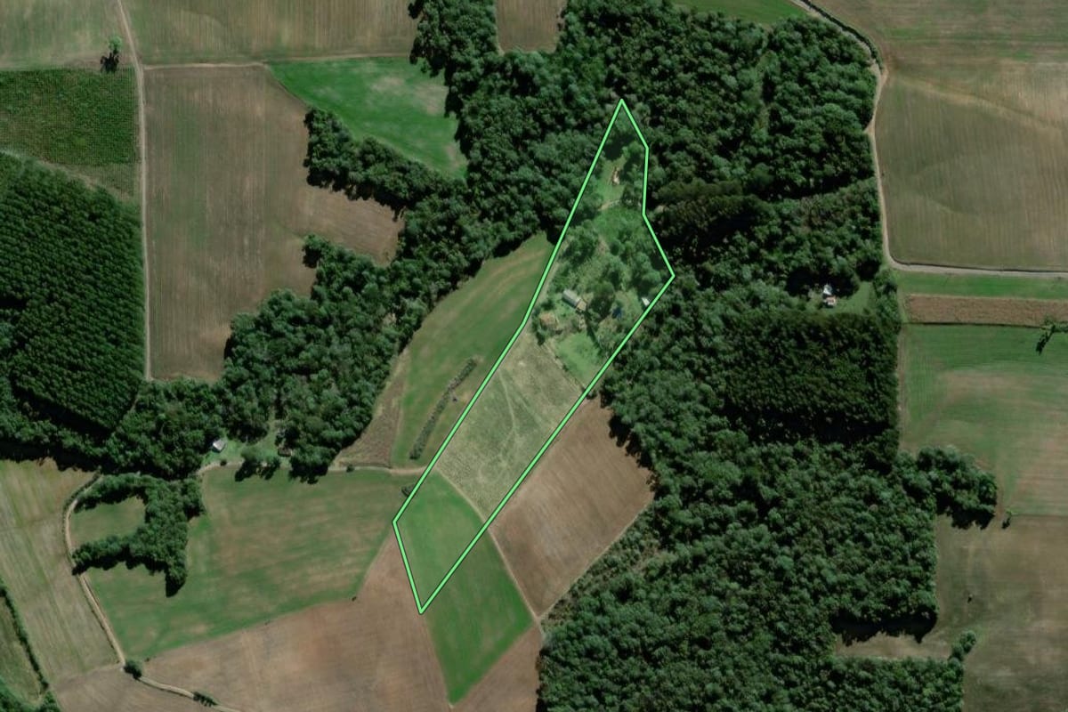 Imagem de satélite do imóvel rural em São Mateus do Sul (PR), com o contorno declarado no CAR desenhado por cima.