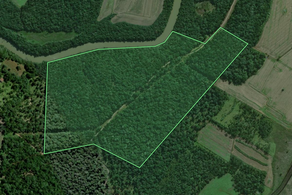 Imagem de satélite do imóvel rural em São Mateus do Sul (PR), com o contorno declarado no CAR desenhado por cima.
