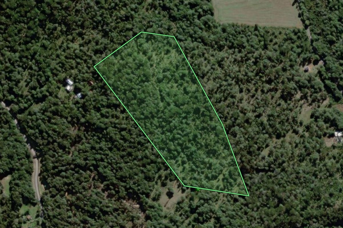 Imagem de satélite do imóvel rural em São Mateus do Sul (PR), com o contorno declarado no CAR desenhado por cima.