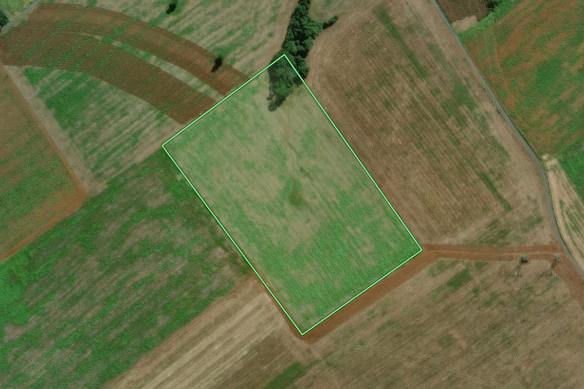 Imagem de satélite do imóvel rural em São Mateus do Sul (PR), com o contorno declarado no CAR desenhado por cima.