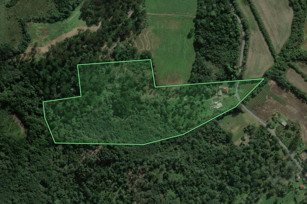 Imagem de satélite do imóvel rural em São Mateus do Sul (PR), com o contorno declarado no CAR desenhado por cima.