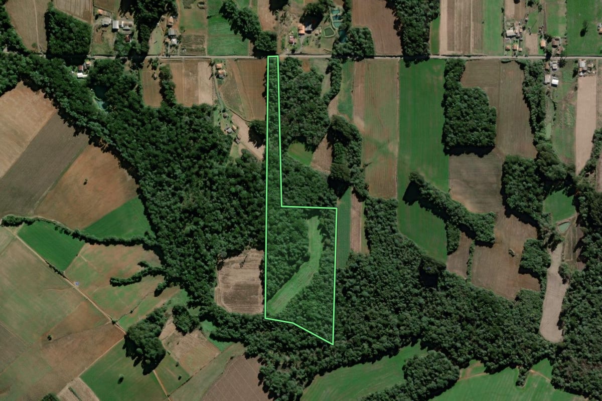 Imagem de satélite do imóvel rural em São Mateus do Sul (PR), com o contorno declarado no CAR desenhado por cima.