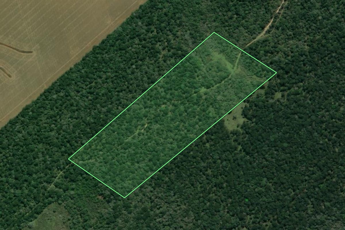 Imagem de satélite do imóvel rural em São Mateus do Sul (PR), com o contorno declarado no CAR desenhado por cima.