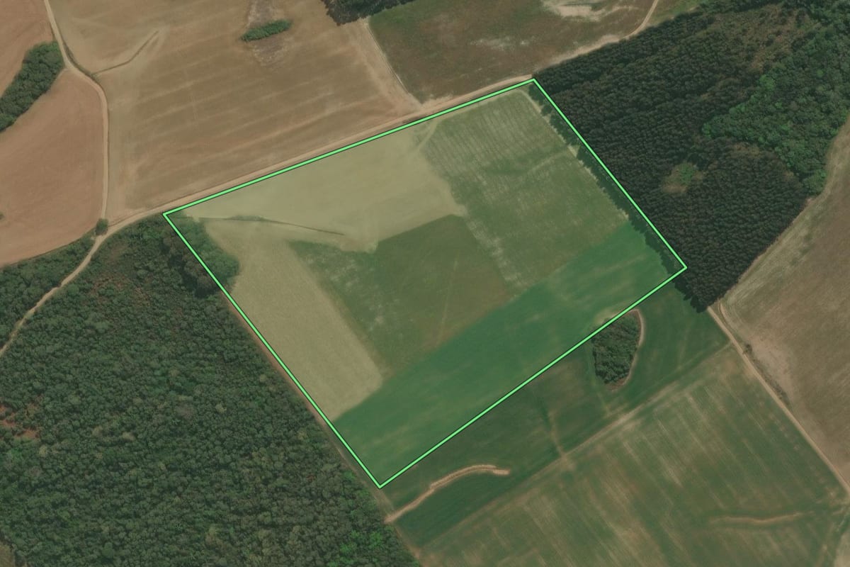Imagem de satélite do imóvel rural em São Mateus do Sul (PR), com o contorno declarado no CAR desenhado por cima.